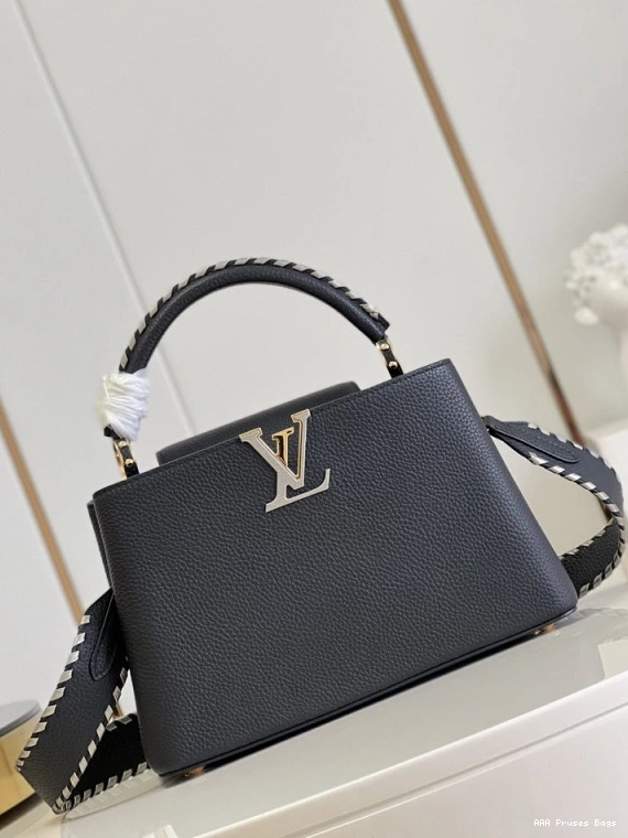 AAA Pruses Bags LOUIS VUITTON MM CAPUCINES 0814